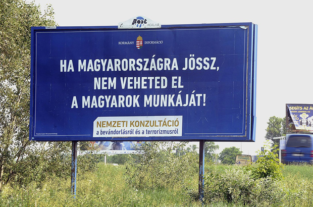 vendegmunk%C3%A1sok_ha.jpg